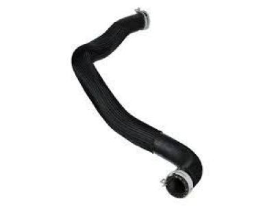 AT4Z8286A Lower Hose Ford