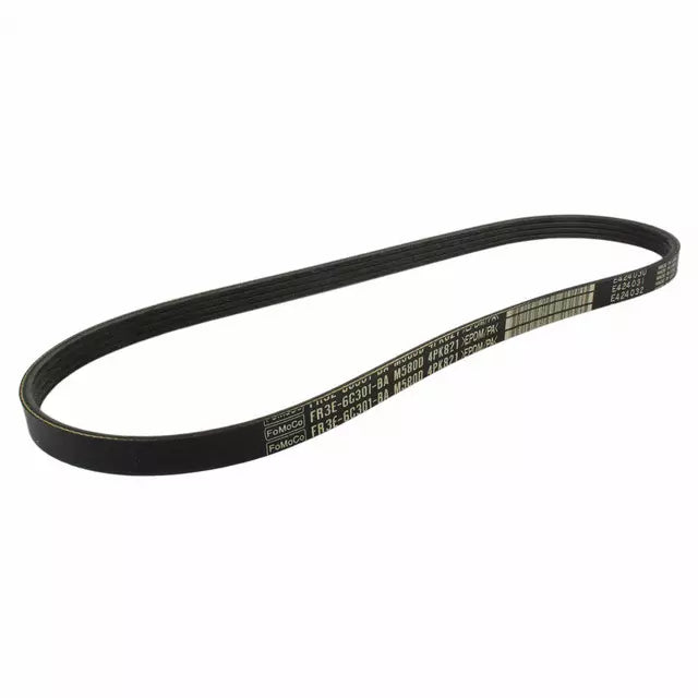 FR3Z8620A Belt Must Ford Genuine