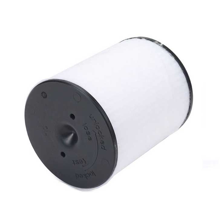 4H0129620L Air Filter Audi Genuine