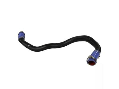 JL3Z6C646A Coolant Hose Expedi Ford Genuine