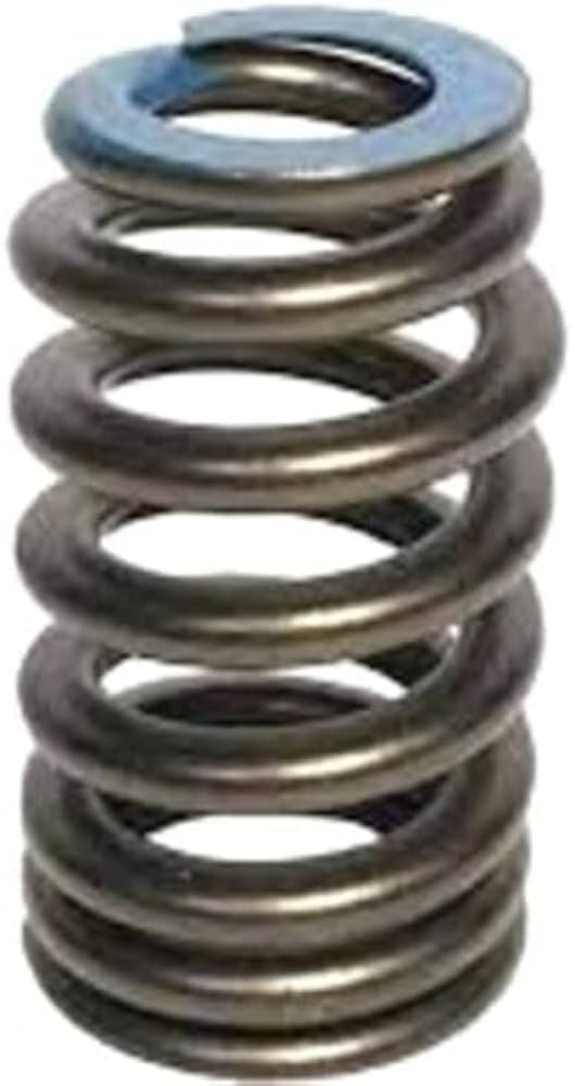 12691120 Valve Spring GM Genuine