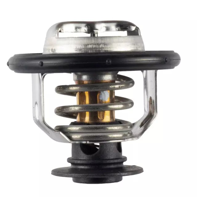 LB5Z8575C Thermostat Ford Genuine