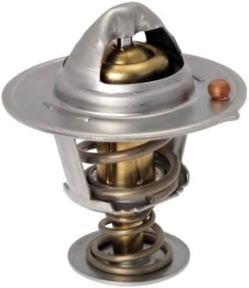 255002E000 Thermostat Assembly Hyundai Genuine
