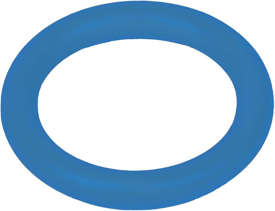 24100002 Engine Oil Filler Cap O-Ring GM Genuine