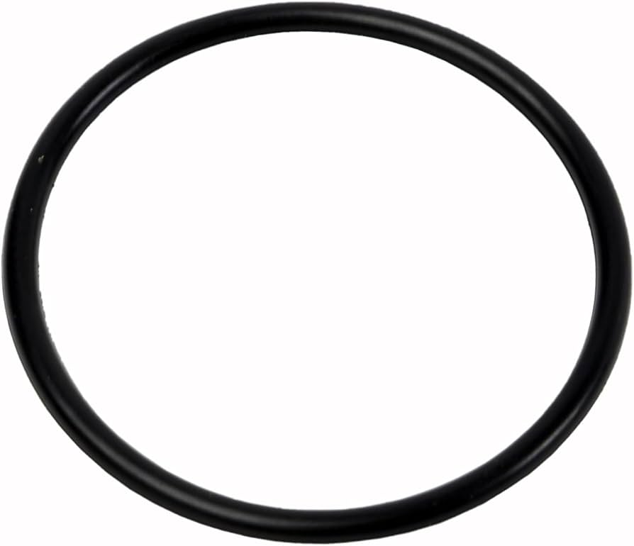 12602379 Fuel Pressure Pump O Ring GM Genuine