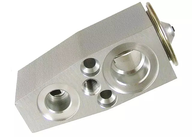 52495729 Rear Expansion Valve GM Genuine