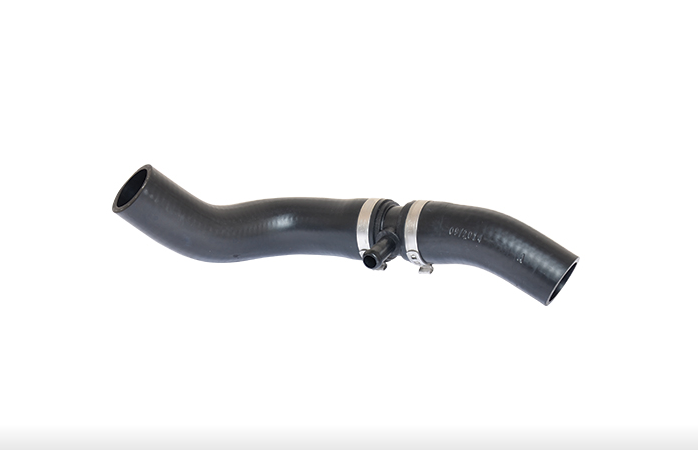 215011KC1A Lower Hose Nissan Genuine