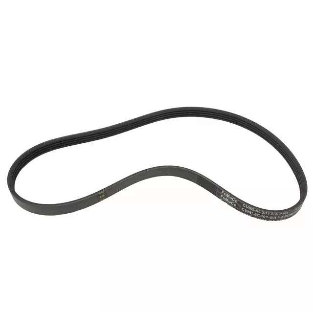 CV6Z8620B Belt Ford Genuine