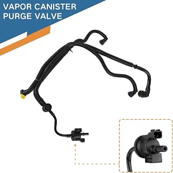 HG9Z9D289B Purge Valve Ford Genuine