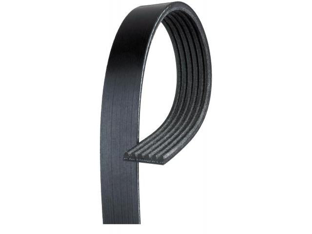 12576451 Belt GM Aftermarket