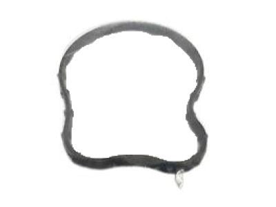 68212516AA Thermostat Seal Wrang Mopar Genuine