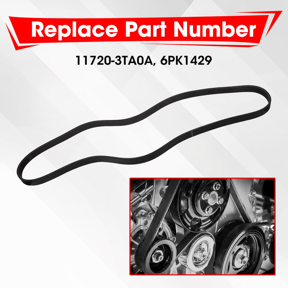 117203TA0A Engine Belt Nissan Genuine