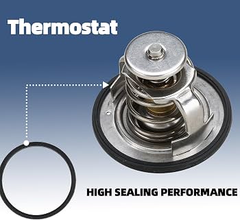 212001 Thermostat Renault Genuine