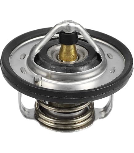 2550026100 Thermostat KIA Genuine