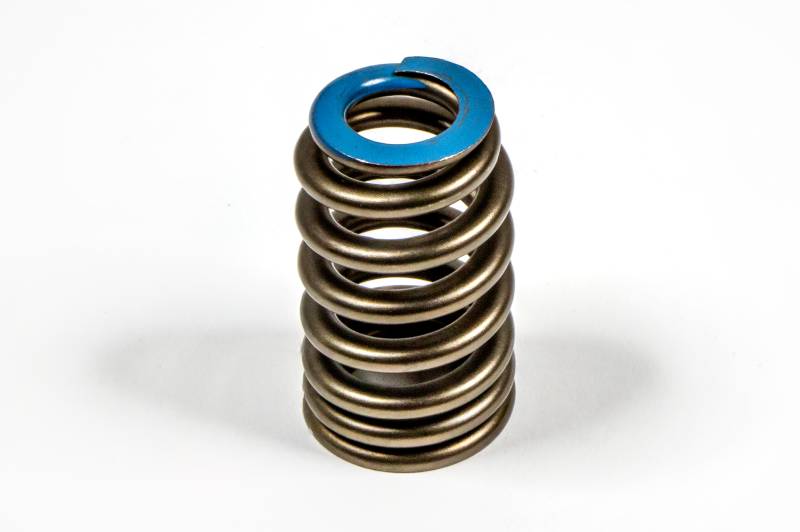 12691120 Valve Spring GM Genuine