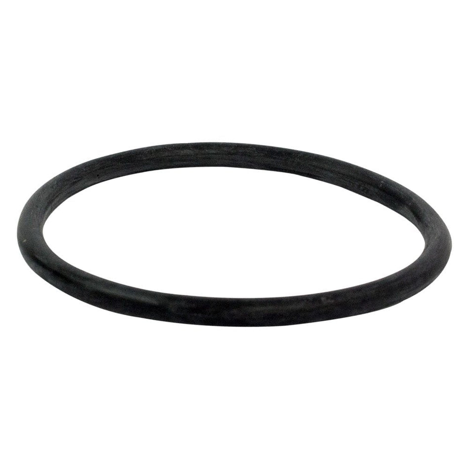 F1VY8255A Thermostat O-ring Ford Genuine
