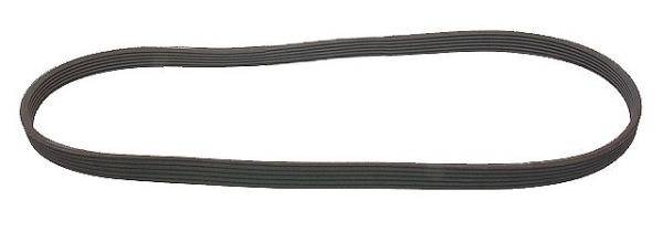 06A260849C Drive Belt Volkswagon Aftermarket