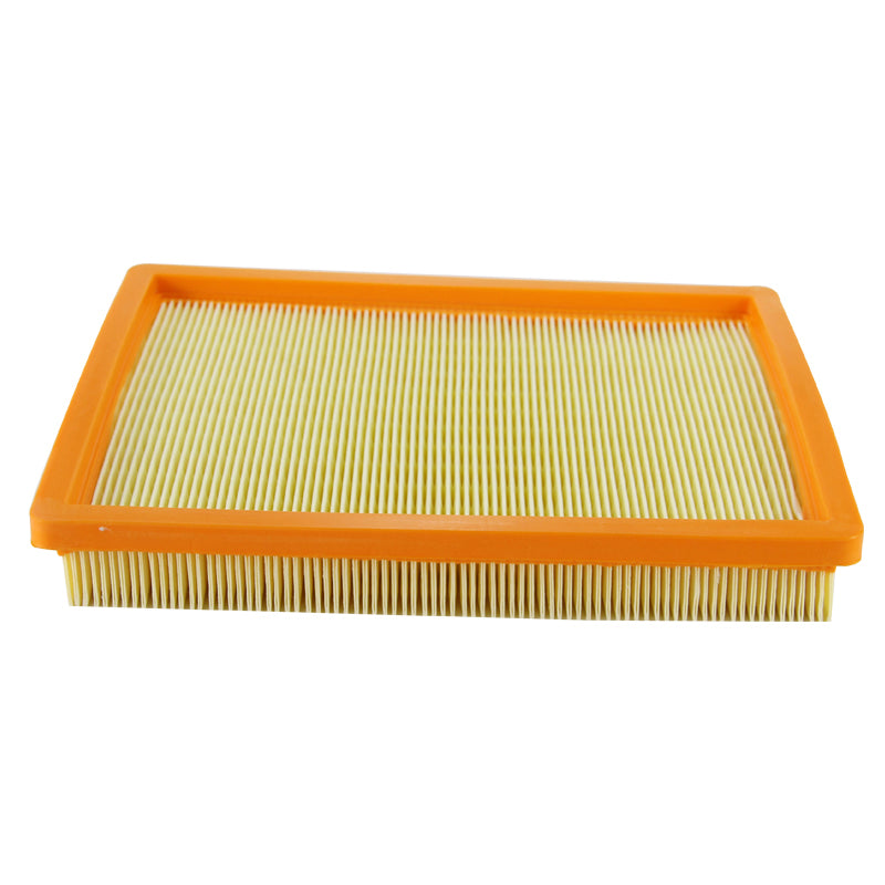 23961974 Air Filter GM Genuine