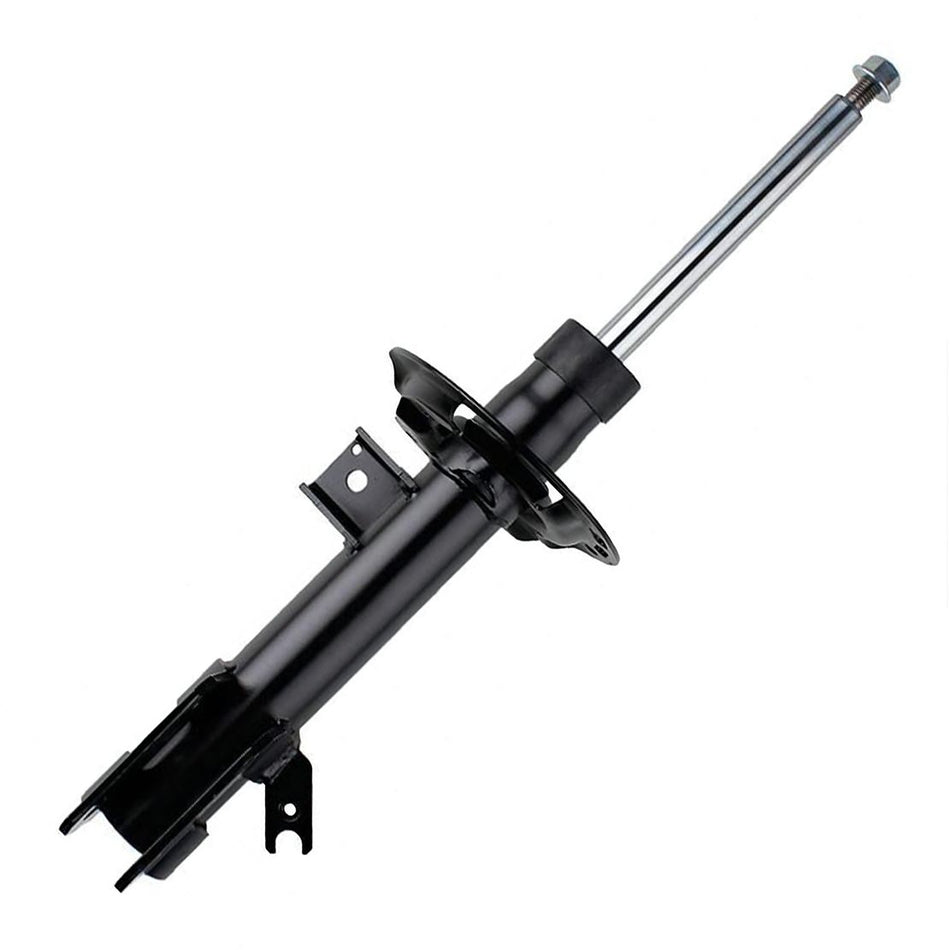 F2GZ18124Y Shock Absorber Assembly Ford Aftermarket