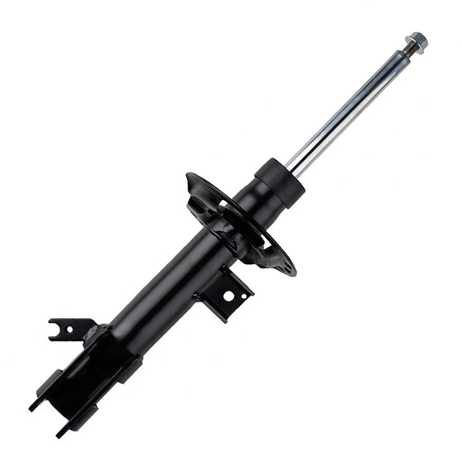 F2GZ18124X Shock Absorber Assembly Ford Aftermarket