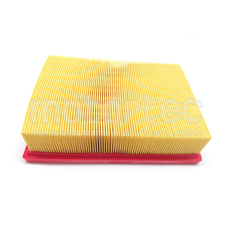 23909020 Engine Air Filter GM GM Genuine