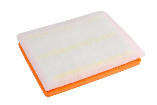84390002 Engine Air Filter Ter GM Genuine