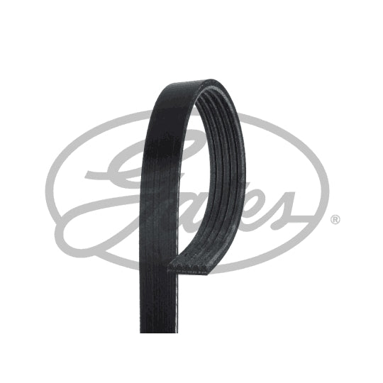 117205DD0A Belt Assembly Nissan Genuine
