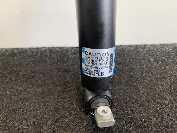 FR3Z18125X Rear Shocks Ford Genuine