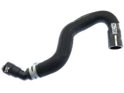 DG1Z8C289B Coolant Hose Taur Ford Genuine
