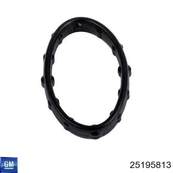 25195813 Seal GM GM Genuine