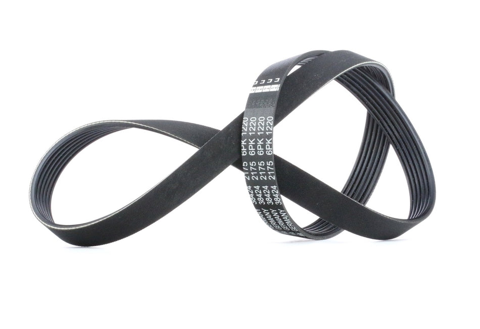 117203RC0B Serpentine Belt Nissan Genuine