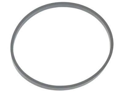 53021661AA Seal Big Mopar Genuine