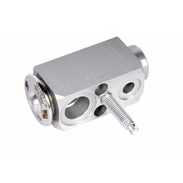 22816195 Expansion Valve GM GM Genuine