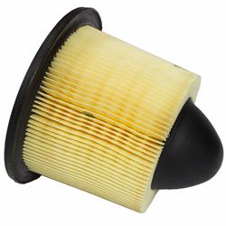 F5OZ9601BA Air Filter Ford Genuine