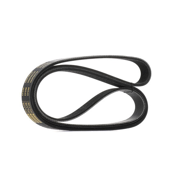 55563927 Serpentine Belt GM Aftermarket