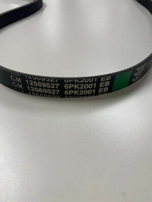 12569527 Eng Drive Belt GM Genuine