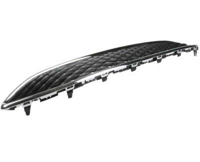 1875314 Show Grill Focus Ford Aftermarket