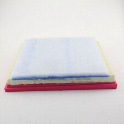 20897358 Engine Air Filter GM GM Genuine